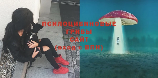 каннабис Баксан