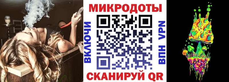 Галлюциногенные грибы Psilocybe  Новоржев 